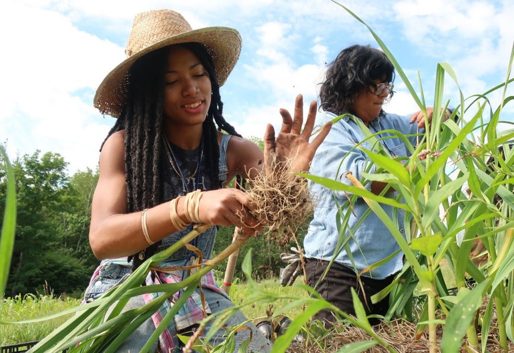 Strengthening Food Sovereignty